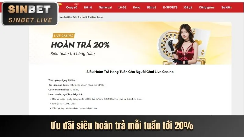 Hoàn trả hàng ngày K88C